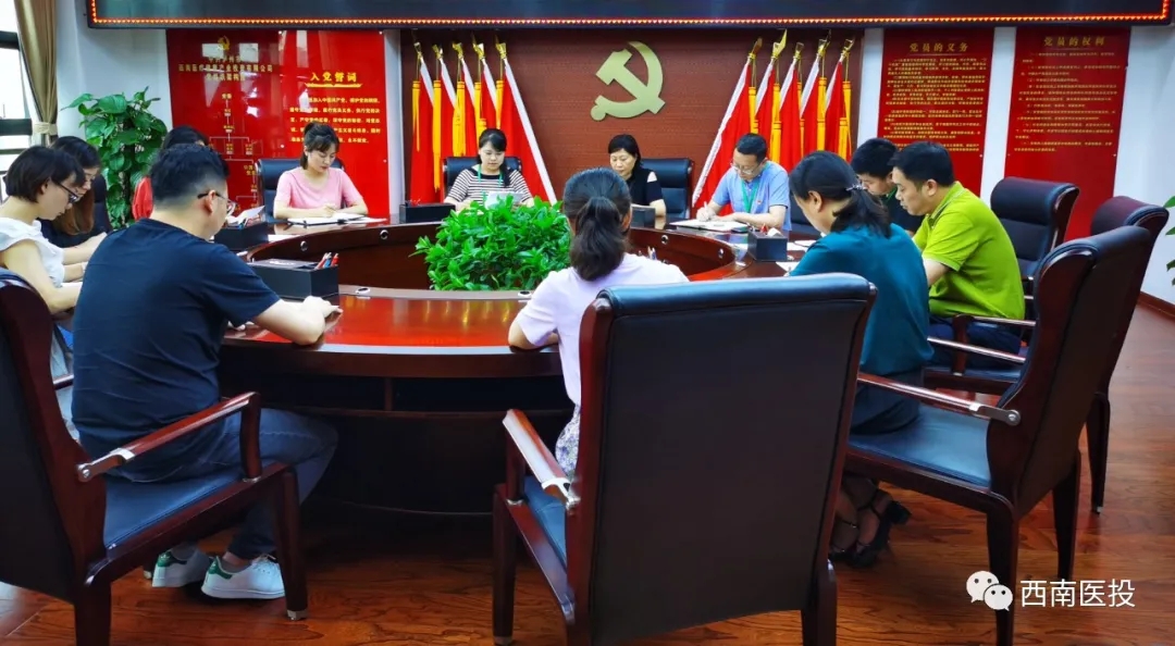 西南醫投集團第二黨支部開展“逐夢起新航,習近平寄語青年”黨課活動